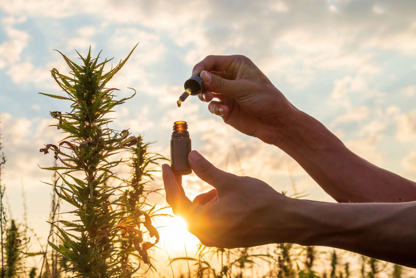 CBD Öl und CBD Tropfen Testsieger und Vergleich 2025
