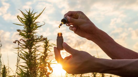 CBD Öl und CBD Tropfen Testsieger und Vergleich 2025