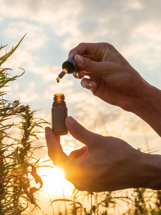 CBD Öl und CBD Tropfen Testsieger und Vergleich 2025