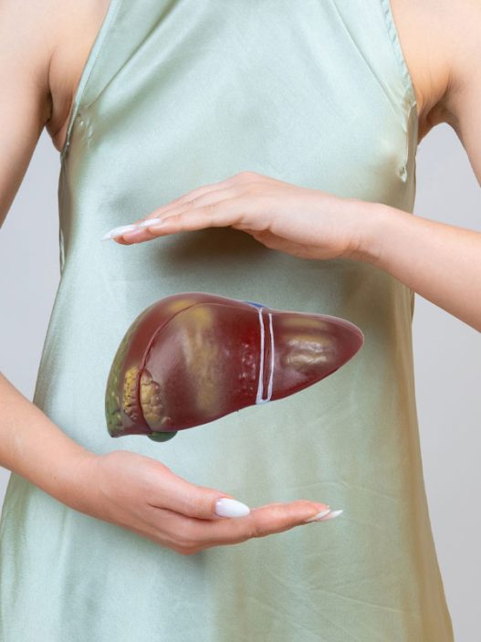 Leberkur Testsieger und Vergleich 2025